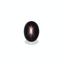 Black Star Sapphire 21.95 carat (BL0040GBS)