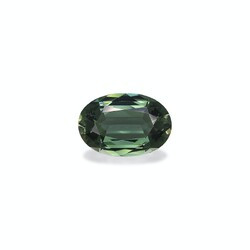 Basil Green Tourmaline 6.94 carats (TG1670GBS)