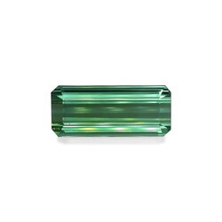 Cotton Green Tourmaline 42.24 ct (TG0435GBS)