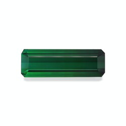 Basil Green Tourmaline 65.06 carats (TG0410GBS)