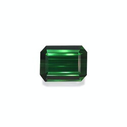Basil Green Tourmaline 31.38 carats (TG0313GBS)