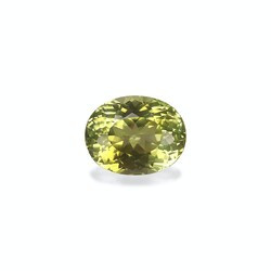 Narcissus Yellow Tourmaline 4.25 carats (TG1064GBS)