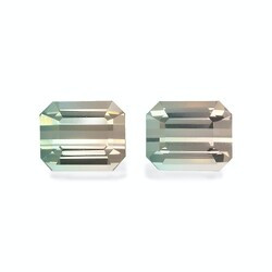 Two-color tourmaline 18.51 carat, pair (BT0060GBS)