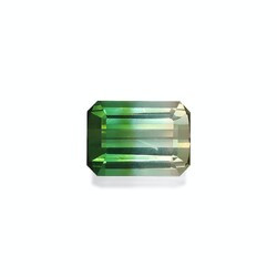 22.10 carat two-color tourmaline (BT0157GBS)