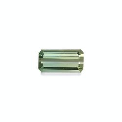 Two-color tourmaline 15.48 carat (BT0149GBS)