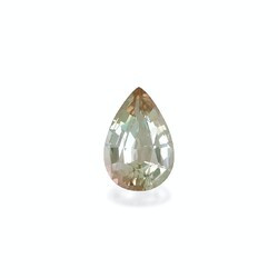 Two-color tourmaline 13.20 carat (BT0160GBS)