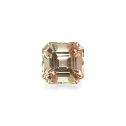 10.22 carat two-color tourmaline (BT0151GBS)