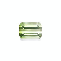 11.81 carat two-color tourmaline (BT0148GBS)