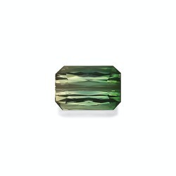 14.85 carat two-color tourmaline (BT0105GBS)