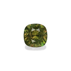 Forest Green Garnet Demantoid 8.19 carat (DG0014GBS)