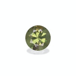 Forest Green Garnet Demantoid 0.83 carat (DG0040GBS)