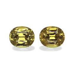 Golden Yellow Garnet Mali 6.58 carat, pair (GG0017GBS)