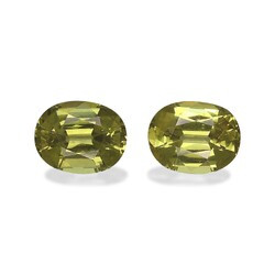 Golden Yellow Garnet Mali 5.21 carat, pair (GG0013GBS)