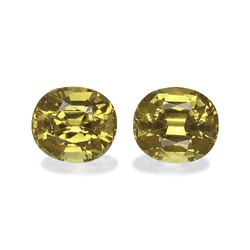 Golden Yellow Garnet Mali 6.91 carat, pair (GG0012GBS)