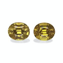 Golden Yellow Garnet Mali 7.41 carat, pair (GG0008GBS)