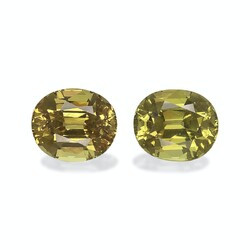 6.28K Lime Green Mali Garnet, pair (GG0006GBS)