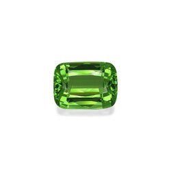 Bright green (vivid) peridot 12.70 carat (PD0308GBS)