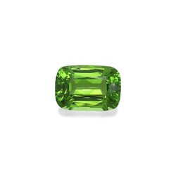 Bright green (vivid) peridot 10.47 carat (PD0267GBS)