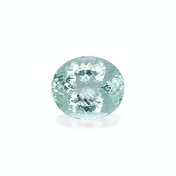 Light green Paraiba tourmaline 35.94 carats (PA1455GBS)