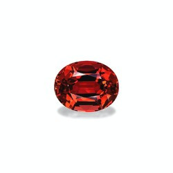 Orange Tourmaline 30.43 carat (PT1223GBS)