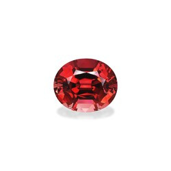 Orange Tourmaline 43.17 carat (PT1222GBS)