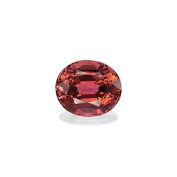 Orange tourmaline 9.79 carat (PT1171GBS)