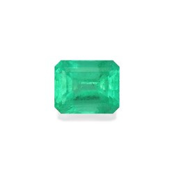 Green Colombian Emerald 6.83 carat (EM0085GBS)